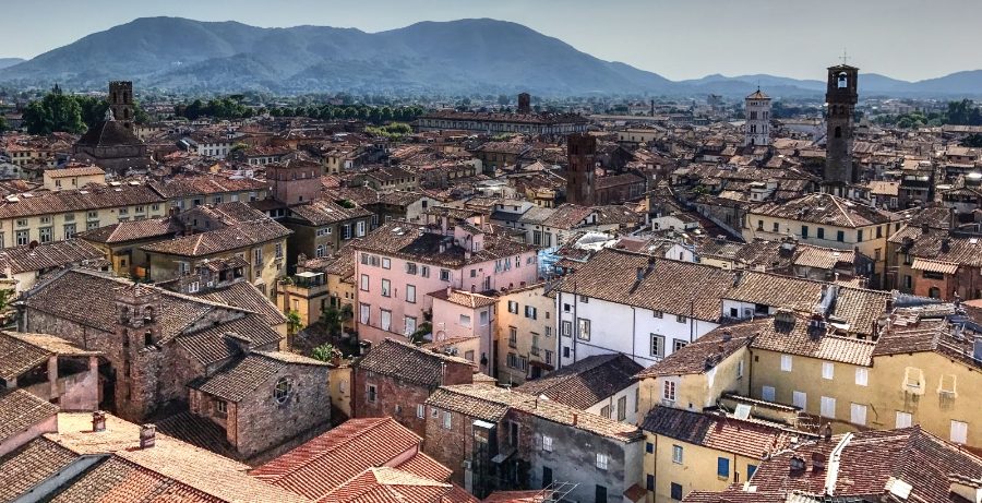 Lucca rooftops
